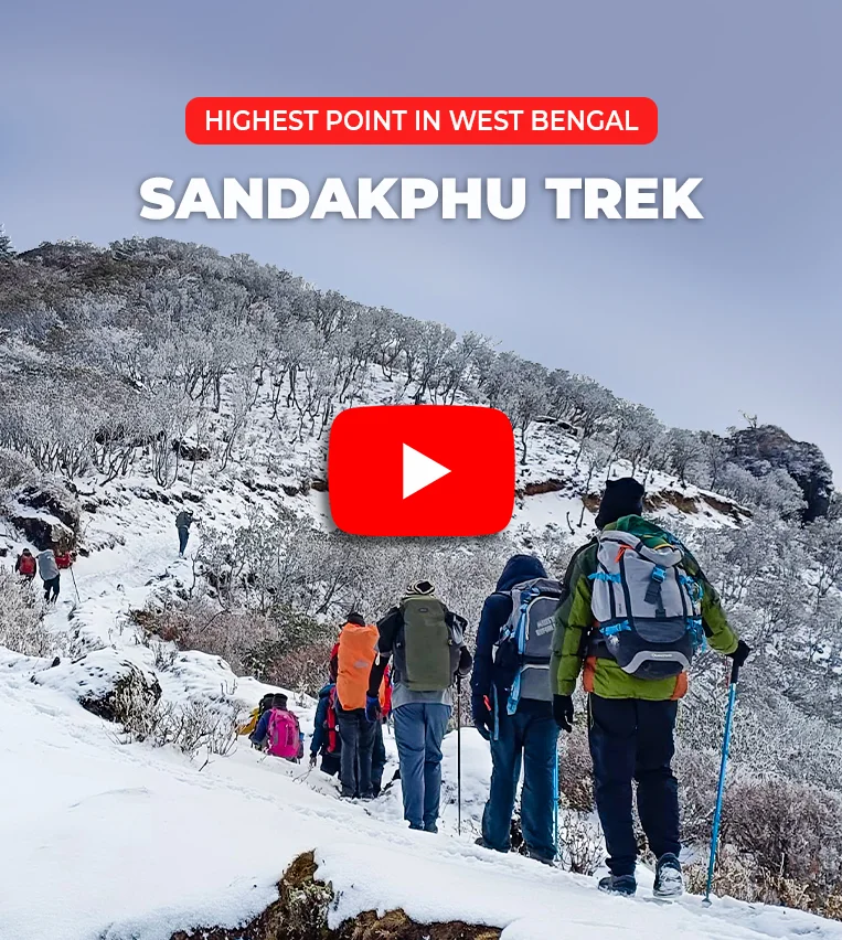 Sandakphu - Phalut Trek